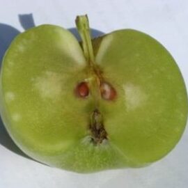 Comprar manzanas dulces con buen sabor online del Rincón de Ademuz. 2