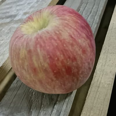 Comprar manzanas dulces con buen sabor online del Rincón de Ademuz.3