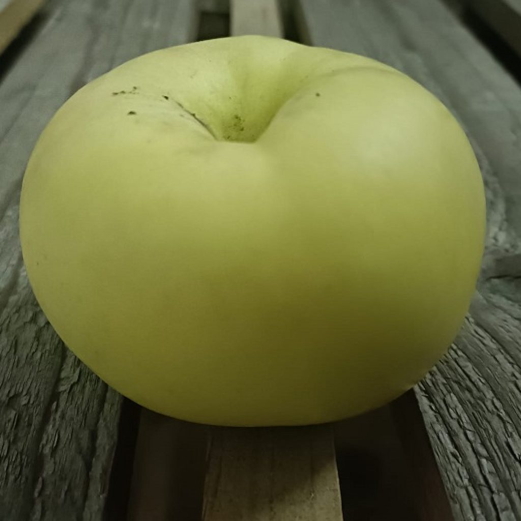 Comprar manzanas dulces con buen sabor online del Rincón de Ademuz.