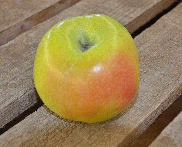 Comprar manzanas dulces con buen sabor online del Rincón de Ademuz. 4